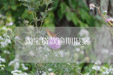 淘宝贷款逾期报案 淘宝贷款逾期报案
