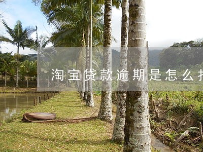 淘宝贷款逾期是怎么扣款的