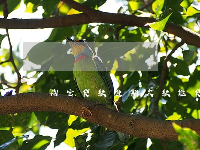淘宝贷款逾期欠款能贷款买车嘛 淘宝贷款逾期欠款能贷款买车嘛