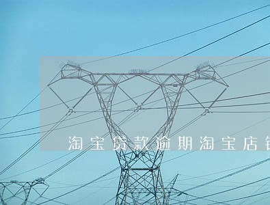 淘宝贷款逾期淘宝店铺