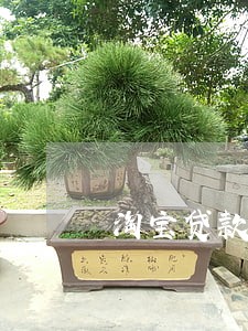 淘宝贷款逾期电话 淘宝贷款逾期电话