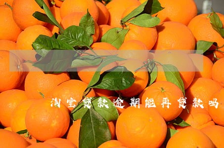 淘宝贷款逾期能再贷款吗 淘宝贷款逾期能再贷款吗