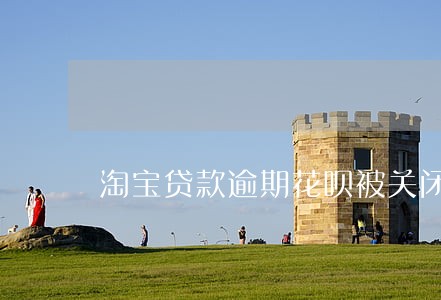 淘宝贷款逾期花呗被关闭 淘宝贷款逾期花呗被关闭