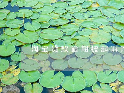 淘宝贷款逾期被起诉诈骗