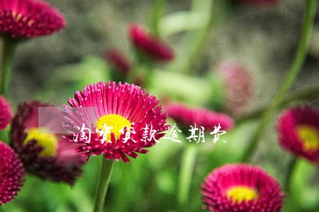 淘宝贷款逾期费 淘宝贷款逾期费