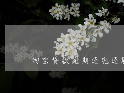 淘宝贷款逾期还完还能贷吗 淘宝贷款逾期还完还能贷吗