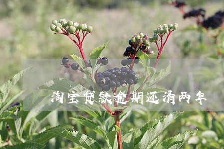 淘宝贷款逾期还清两年 淘宝贷款逾期还清两年