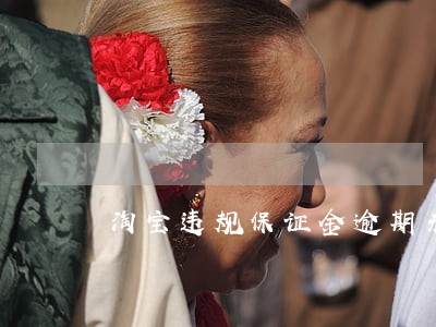 淘宝违规保证金逾期未补缴 淘宝违规保证金逾期未补缴