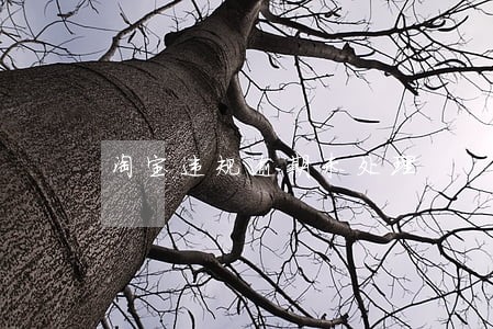 淘宝违规逾期未处理 淘宝违规逾期未处理