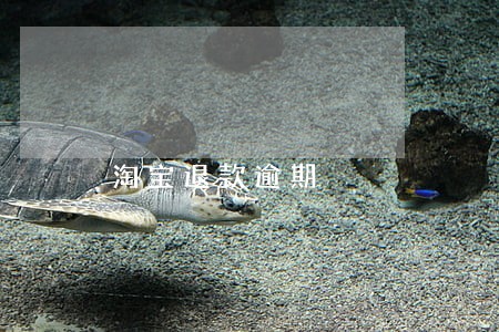 淘宝退款逾期 淘宝退款逾期