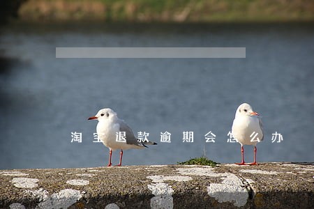 淘宝退款逾期会怎么办 淘宝退款逾期会怎么办