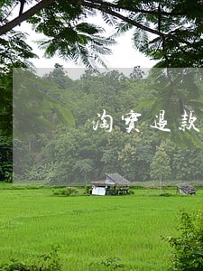 淘宝退款逾期怎么办 淘宝退款逾期怎么办