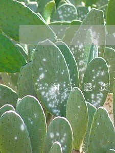 淘宝退货商家逾期不处理不收货 淘宝退货商家逾期不处理不收货