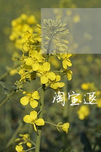 淘宝退货逾期了怎样守约 淘宝退货逾期了怎样守约