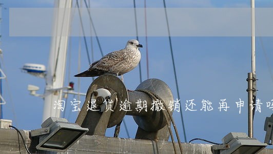 淘宝退货逾期撤销还能再申请吗 淘宝退货逾期撤销还能再申请吗