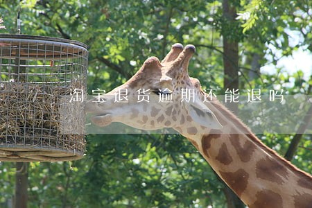 淘宝退货逾期还能退吗 淘宝退货逾期还能退吗