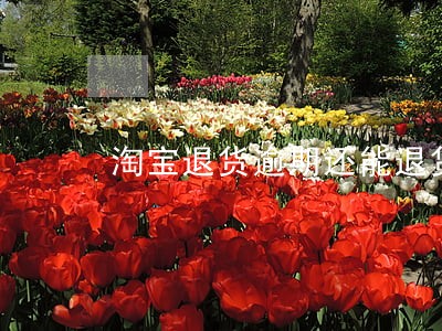 淘宝退货逾期还能退货吗 淘宝退货逾期还能退货吗