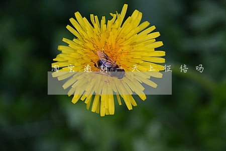淘宝逾期一天上征信吗 淘宝逾期一天上征信吗