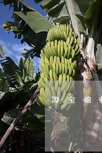 淘宝逾期上征信吗 淘宝逾期上征信吗