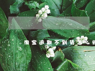淘宝逾期不到货怎么赔 淘宝逾期不到货怎么赔