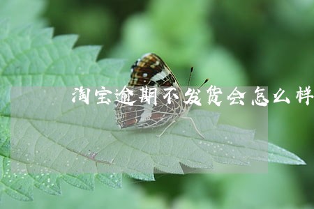 淘宝逾期不发货会怎么样