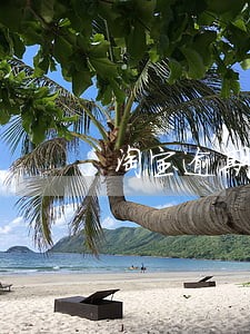 淘宝逾期不发货会罚多钱 淘宝逾期不发货会罚多钱