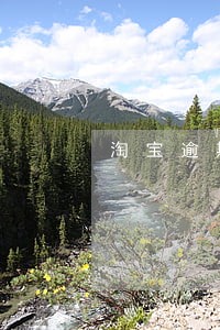 淘宝逾期不发货如何投诉