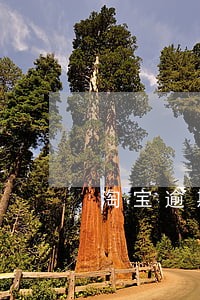 淘宝逾期不发货对我带来损失