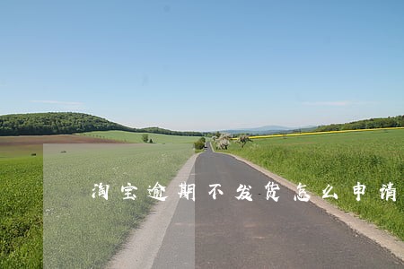 淘宝逾期不发货怎么申请 淘宝逾期不发货怎么申请