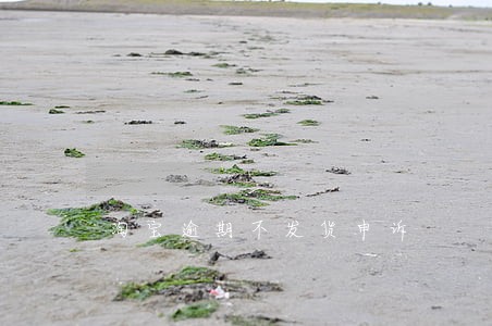 淘宝逾期不发货申诉 淘宝逾期不发货申诉