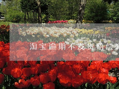 淘宝逾期不发货赔偿嘛 淘宝逾期不发货赔偿嘛