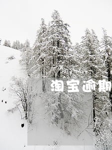 淘宝逾期不发货赔偿多少