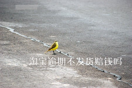 淘宝逾期不发货赔钱吗 淘宝逾期不发货赔钱吗