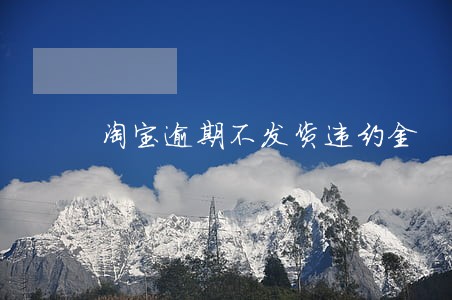 淘宝逾期不发货违约金 淘宝逾期不发货违约金