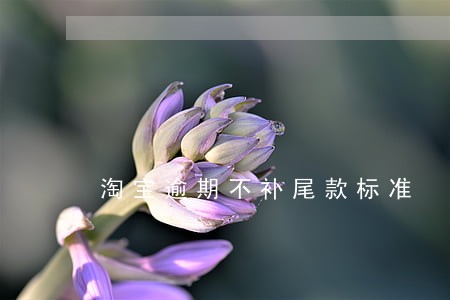 淘宝逾期不补尾款标准 淘宝逾期不补尾款标准
