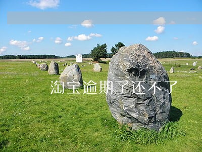 淘宝逾期了还不了 淘宝逾期了还不了