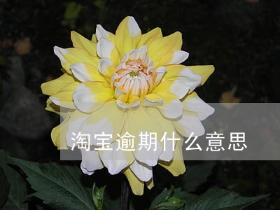 淘宝逾期什么意思 淘宝逾期什么意思