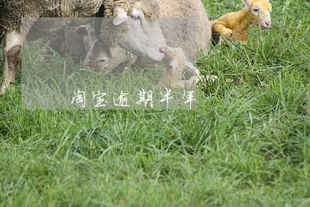 淘宝逾期半年 淘宝逾期半年