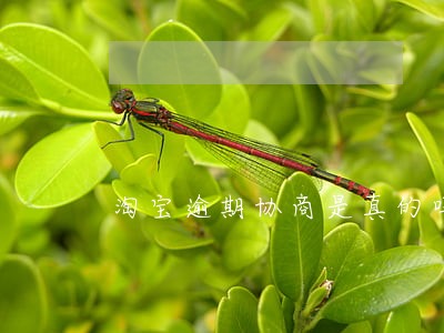 淘宝逾期协商是真的吗 淘宝逾期协商是真的吗