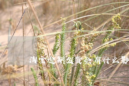 淘宝逾期发货会有什么影响 淘宝逾期发货会有什么影响