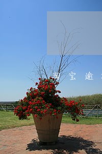 淘宝逾期发货在哪里申请赔偿 淘宝逾期发货在哪里申请赔偿