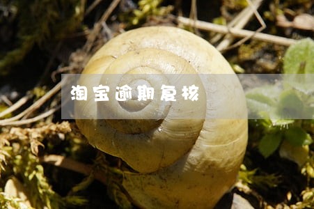 淘宝逾期复核 淘宝逾期复核