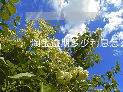 淘宝逾期多少利息怎么算 淘宝逾期多少利息怎么算