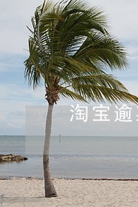 淘宝逾期征信多久 淘宝逾期征信多久