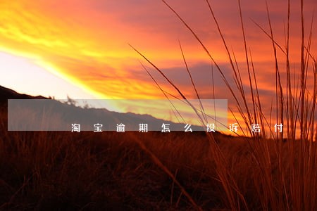 淘宝逾期怎么投诉赔付
