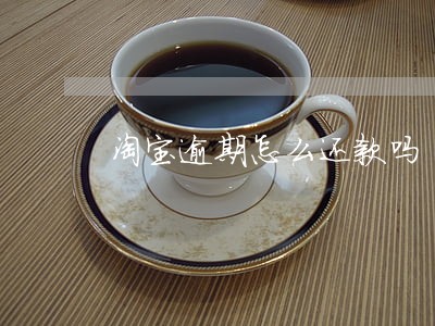 淘宝逾期怎么还款吗 淘宝逾期怎么还款吗