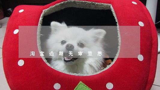 淘宝逾期无审意思 淘宝逾期无审意思