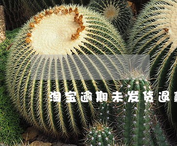 淘宝逾期未发货退款 淘宝逾期未发货退款
