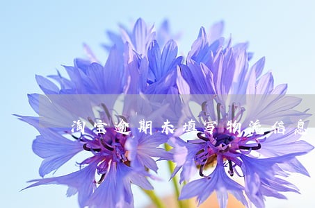 淘宝逾期未填写物流信息 淘宝逾期未填写物流信息