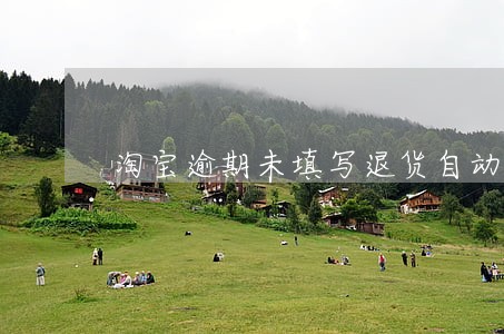 淘宝逾期未填写退货自动关闭 淘宝逾期未填写退货自动关闭